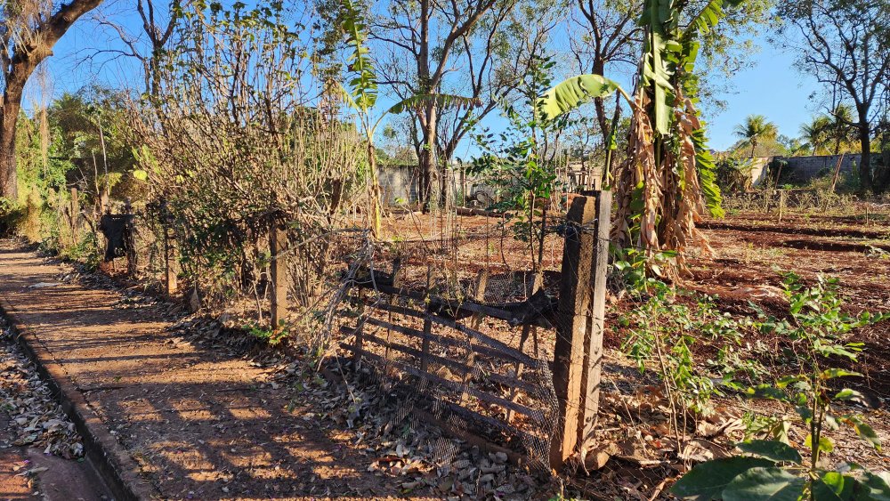 rea - Venda - Recreio das Accias - Ribeiro Preto - SP